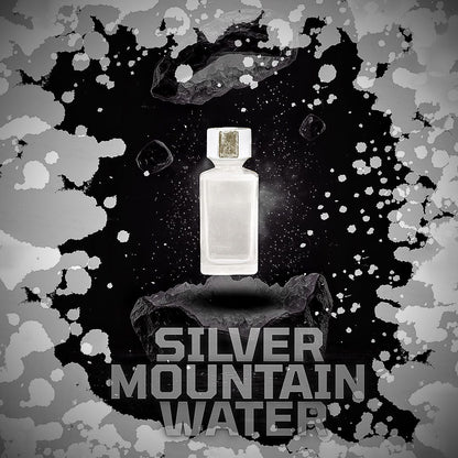 Silver Mountain Water 100 ml